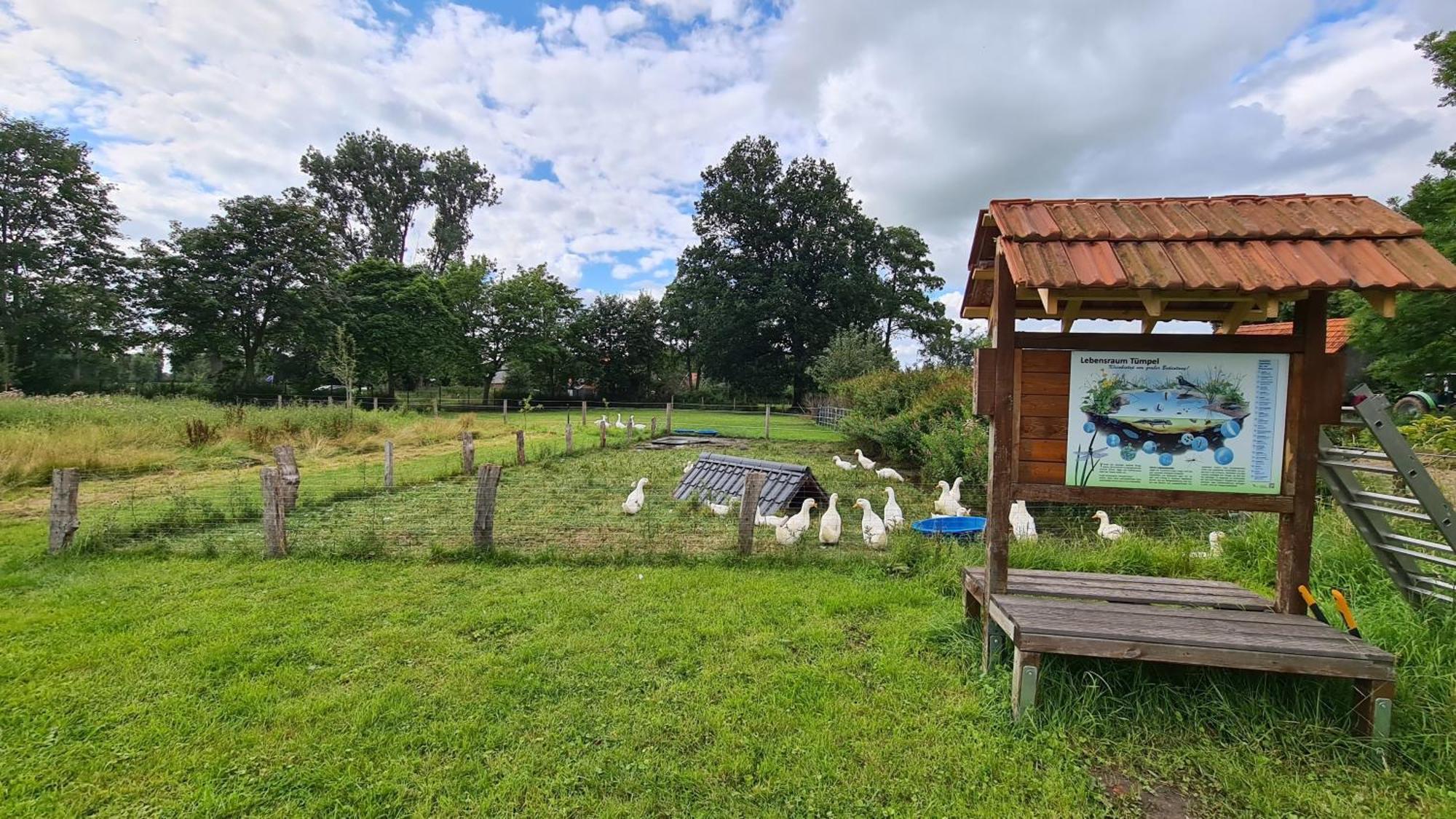 Naturhof Buschwiesen - Wohnung Lama Wilsum Екстер'єр фото